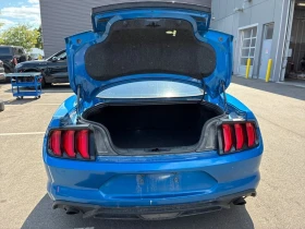Ford Mustang * EcoBoost Fastback * CARFAX *    | Mobile.bg    16