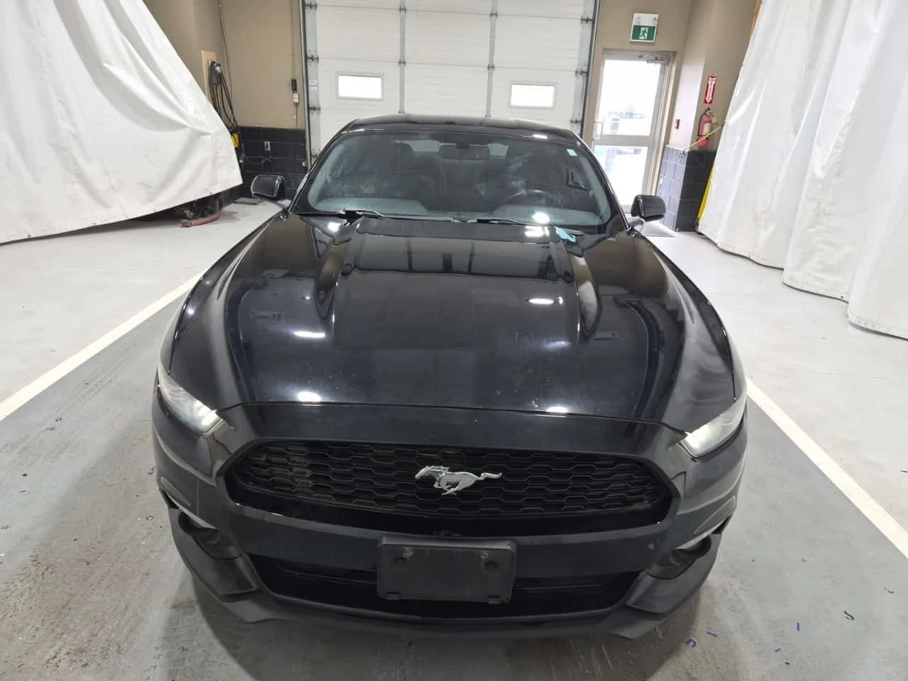 Ford Mustang * V6 * CARFAX * АВТОКРЕДИТ БЕЗ ПЪРВОНАЧАЛНА ВНОСКА, снимка 6 - Автомобили и джипове - 54764508