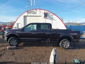 Ford F150 - 34400 лв. - 59869010 | Car24.bg