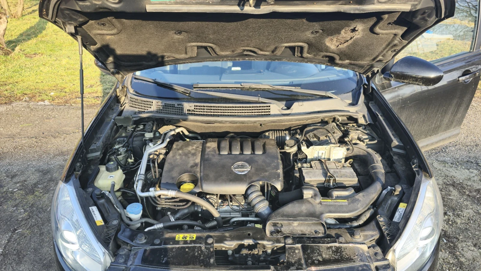 Nissan Qashqai  - изображение 9