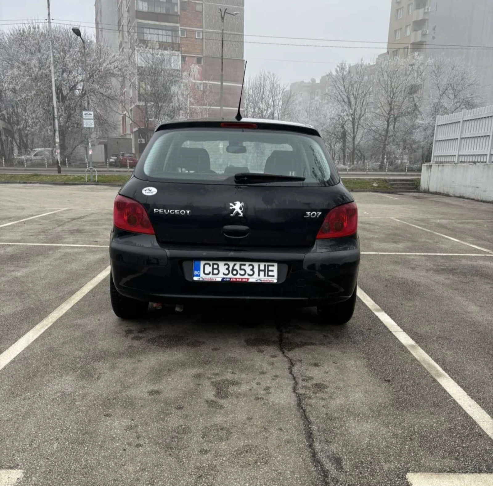 Peugeot 307 1.6 Бензин - изображение 3