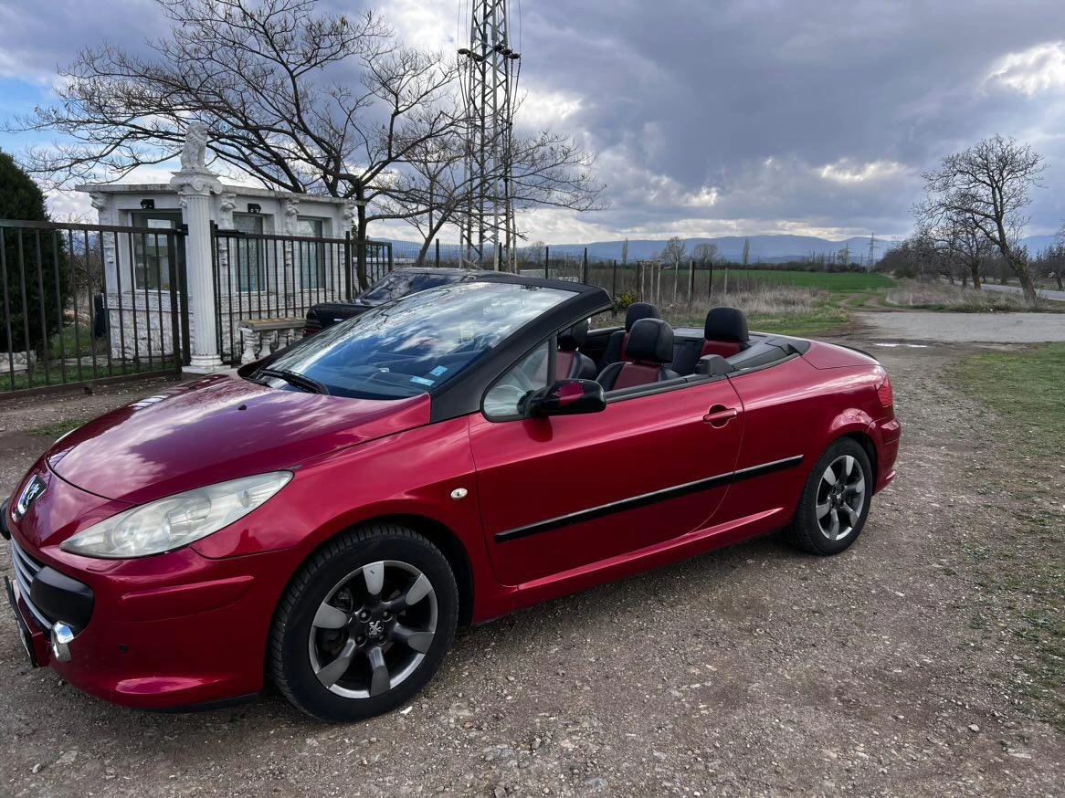 Peugeot 307  - изображение 7