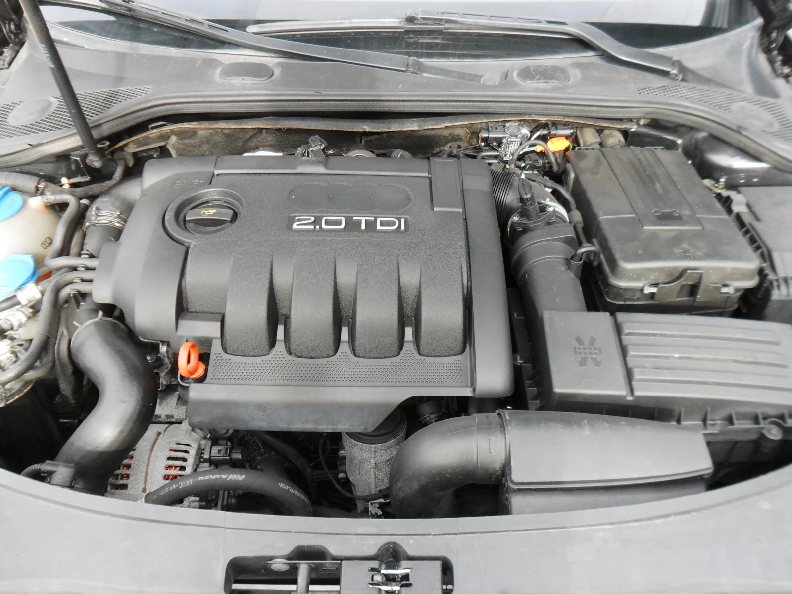 Audi A3 2, 0-tdi-BMM-KLIMATRONIK-ITALY | Mobile.bg   17