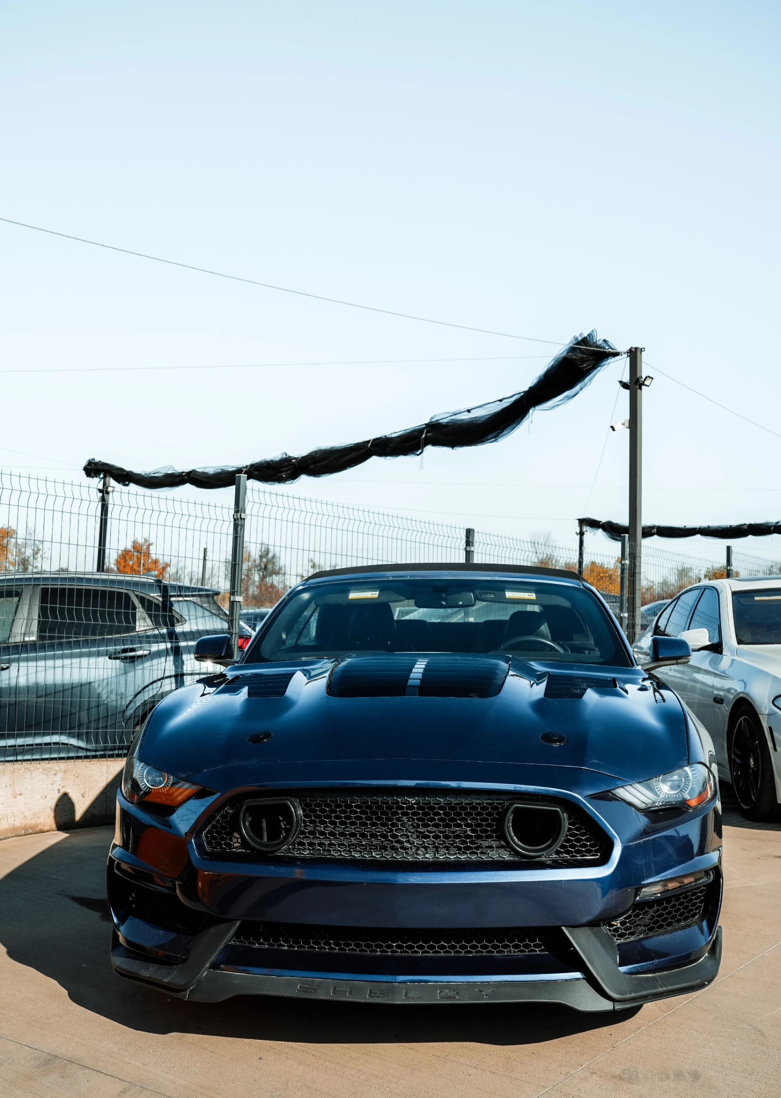 Ford Mustang Shelby packet | Mobile.bg   6
