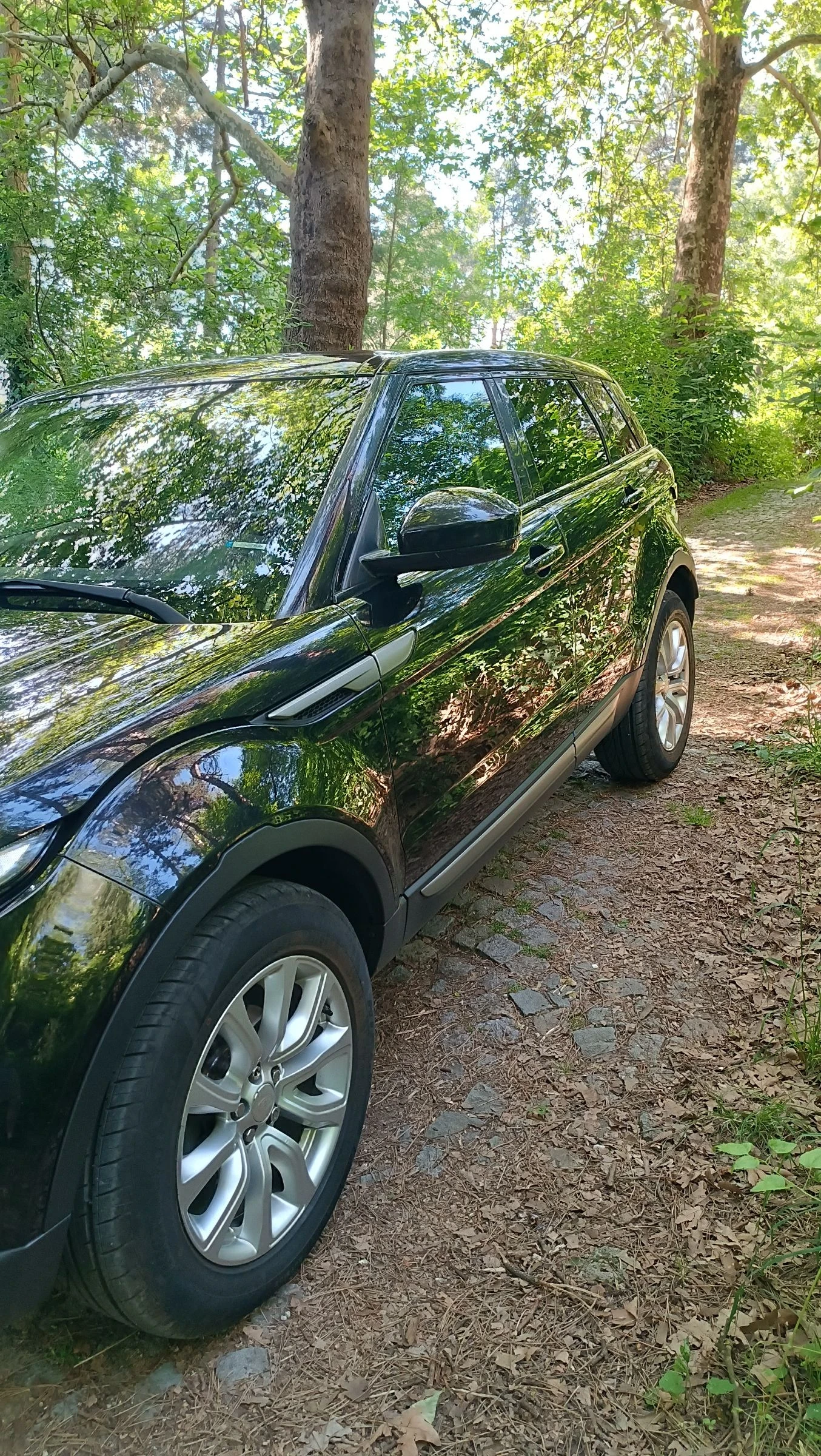 Land Rover Range Rover Evoque 2.2TD4 4x4  - изображение 3