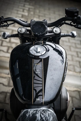 Benda Chinchilla 500, снимка 9