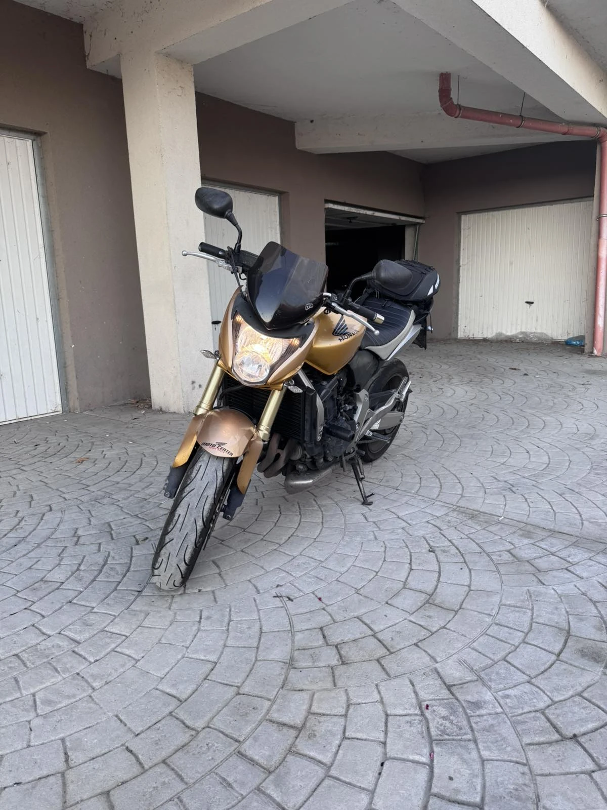 Honda Hornet