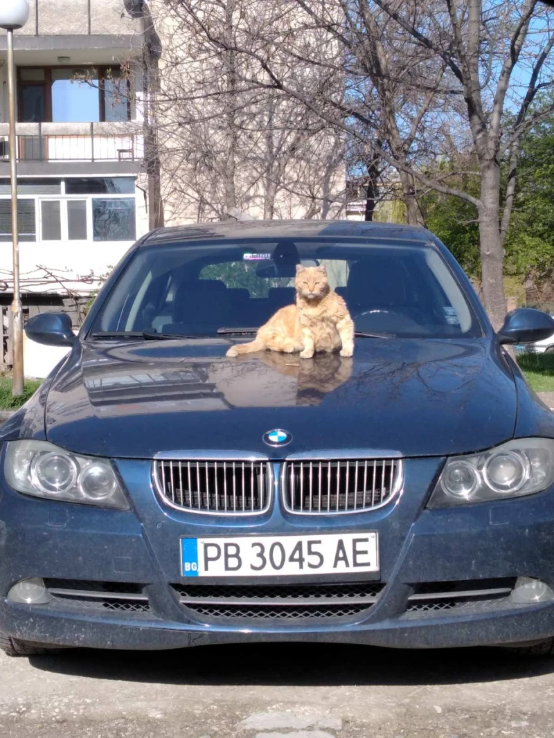 BMW 325 325ix 4x4 автомат с газова  уредба  fobos2, снимка 2 - Автомобили и джипове - 47465035