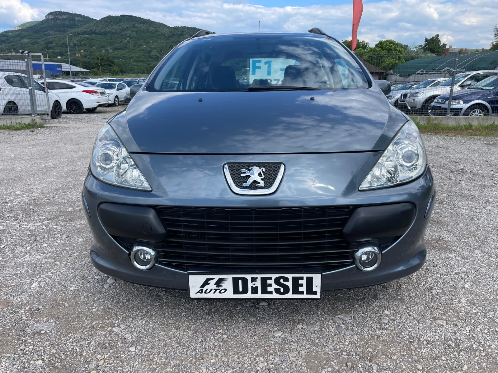 Peugeot 307 1.6HDI-FEIS-ITALIA - изображение 2