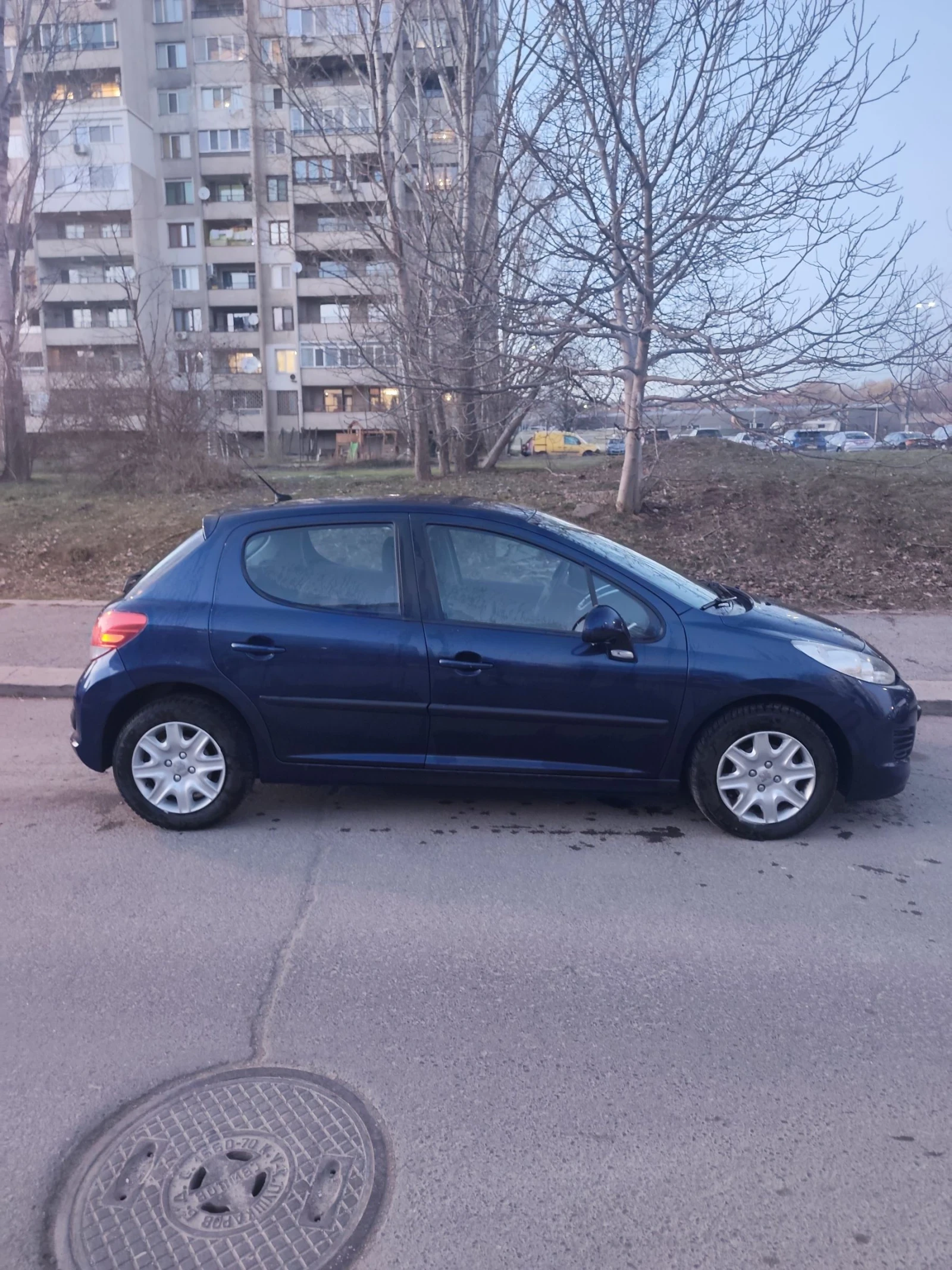 Peugeot 207 2010�. | Mobile.bg � ����������� 10