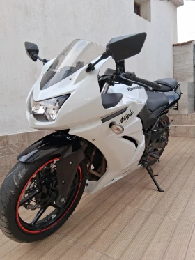 Kawasaki Ninja, снимка 1