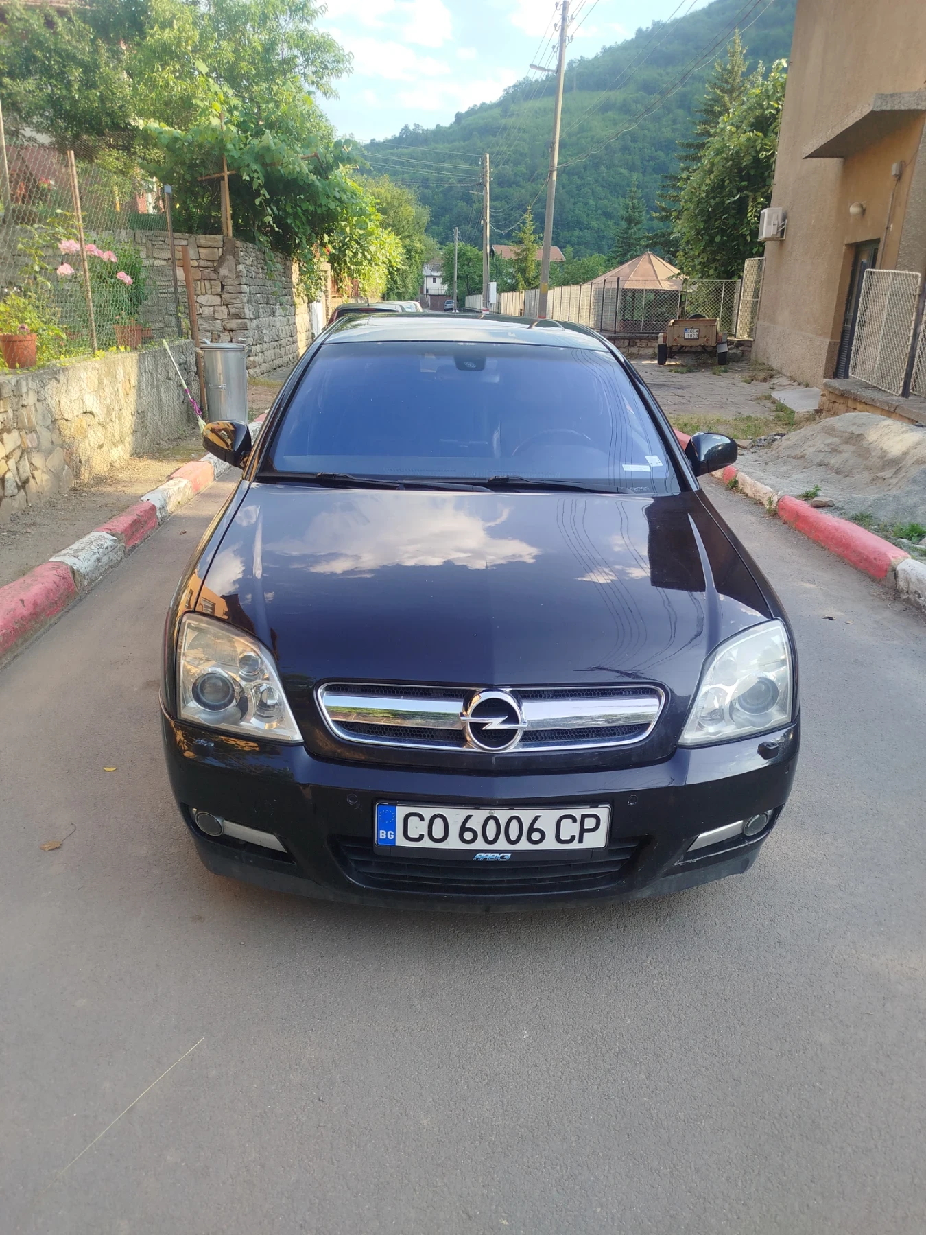 Opel Signum 3.2, снимка 1