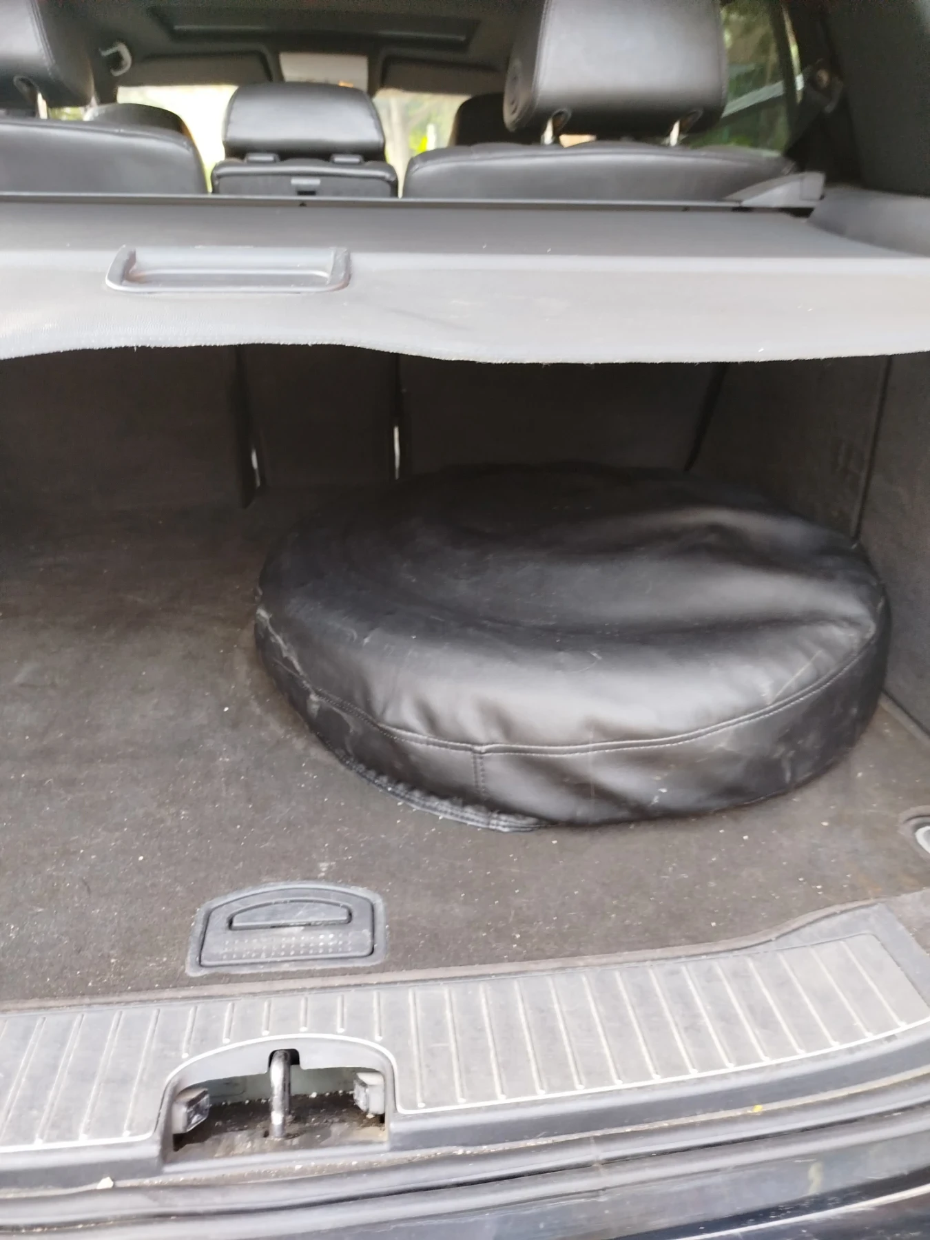 Opel Signum 3.2 - изображение 9