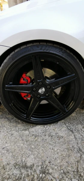 Джанти, снимка 7