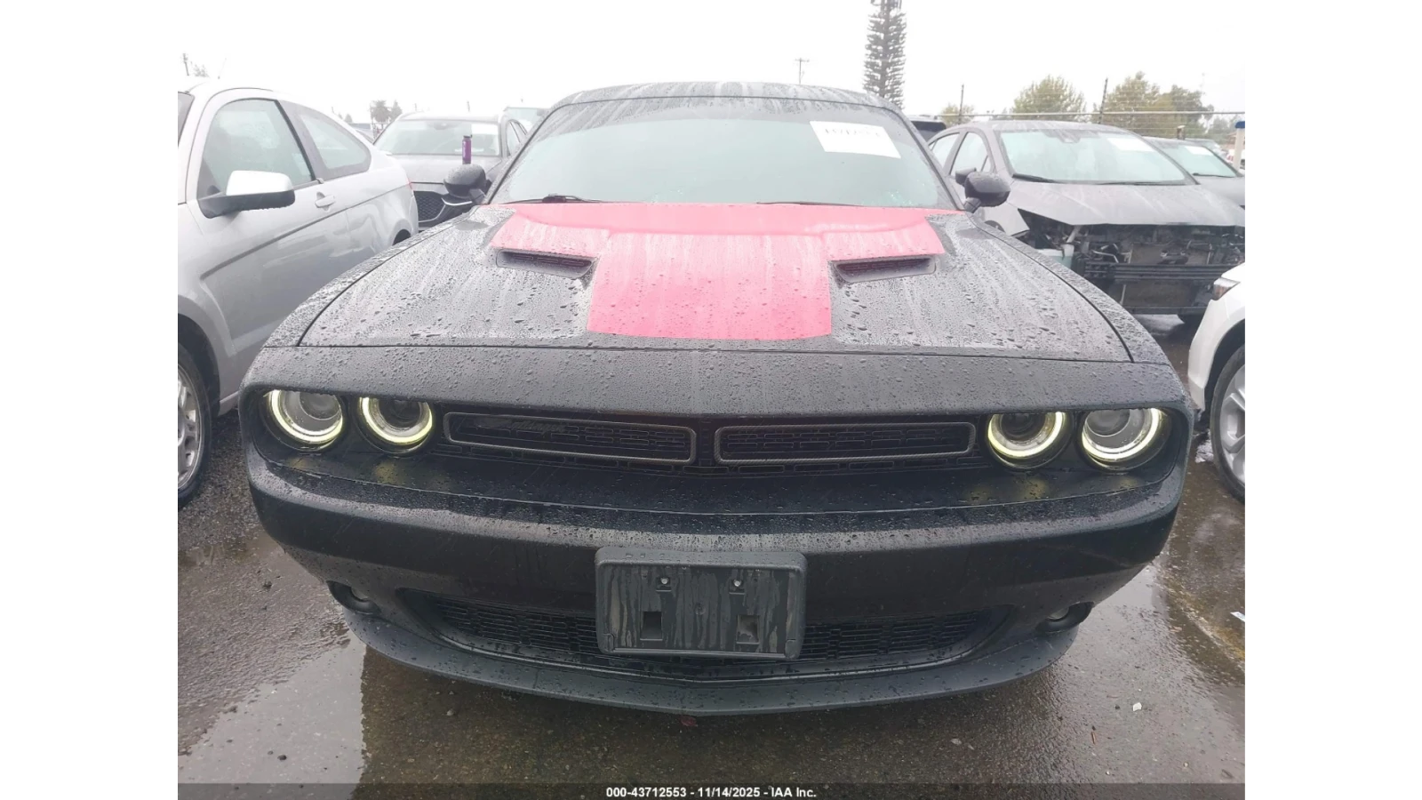 Dodge Challenger * 3.6* SXT*  - изображение 3