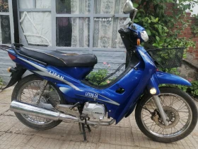     Lifan Cub 50