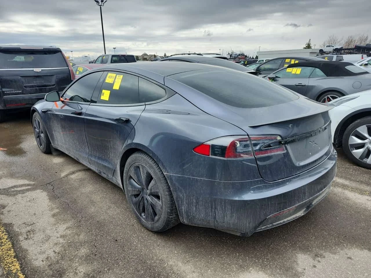 Tesla Model S * PLAID * ОБДУХВАНЕ* ПОДГРЕВ* BLIND SPOT* , снимка 4 - Автомобили и джипове - 53904793