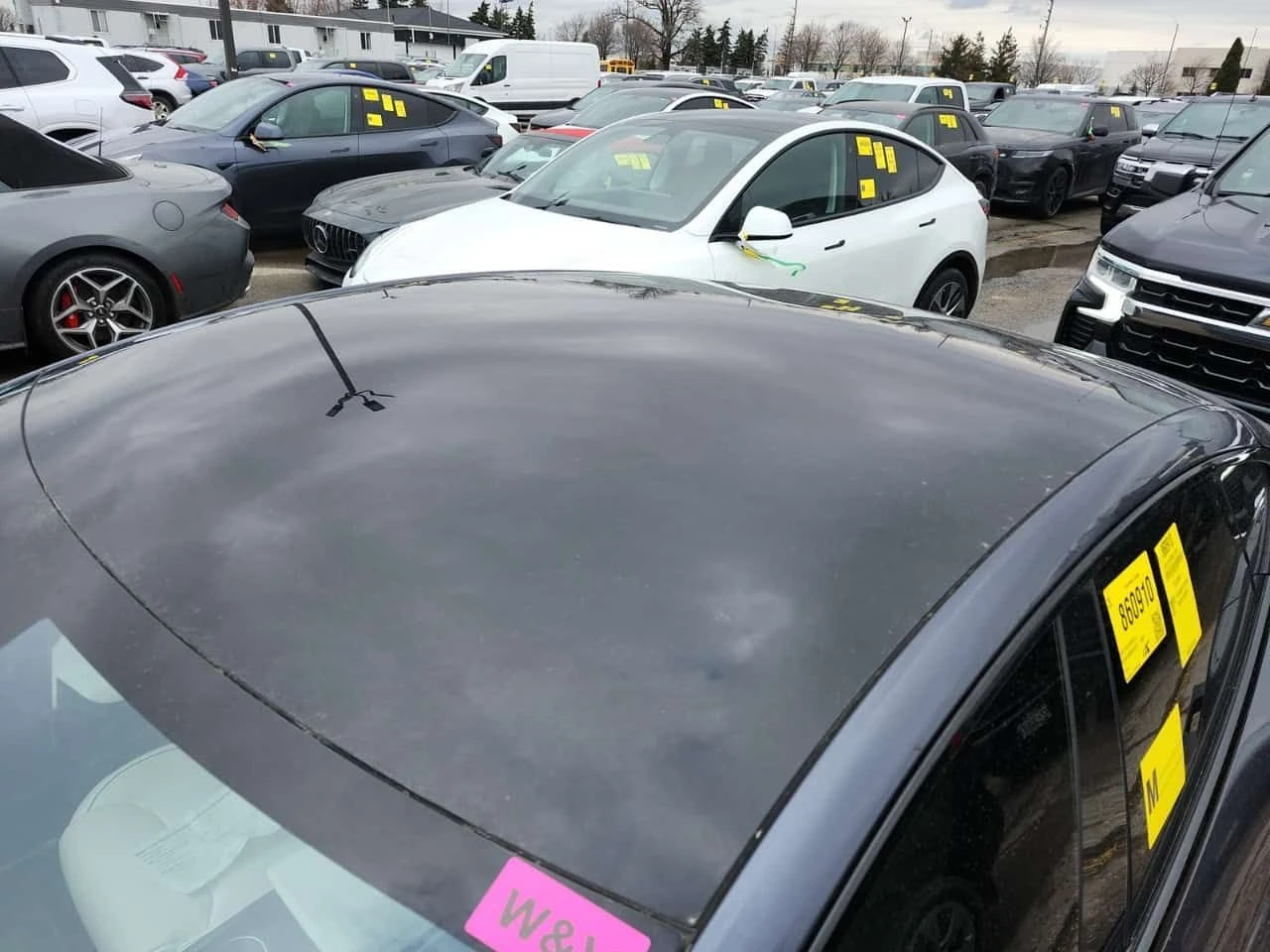 Tesla Model S * PLAID * ОБДУХВАНЕ* ПОДГРЕВ* BLIND SPOT* , снимка 7 - Автомобили и джипове - 53904793