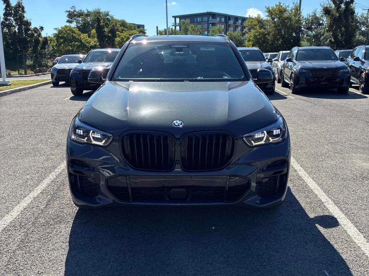 BMW X5 X5 xDrive45e, снимка 6 - Автомобили и джипове - 55953815