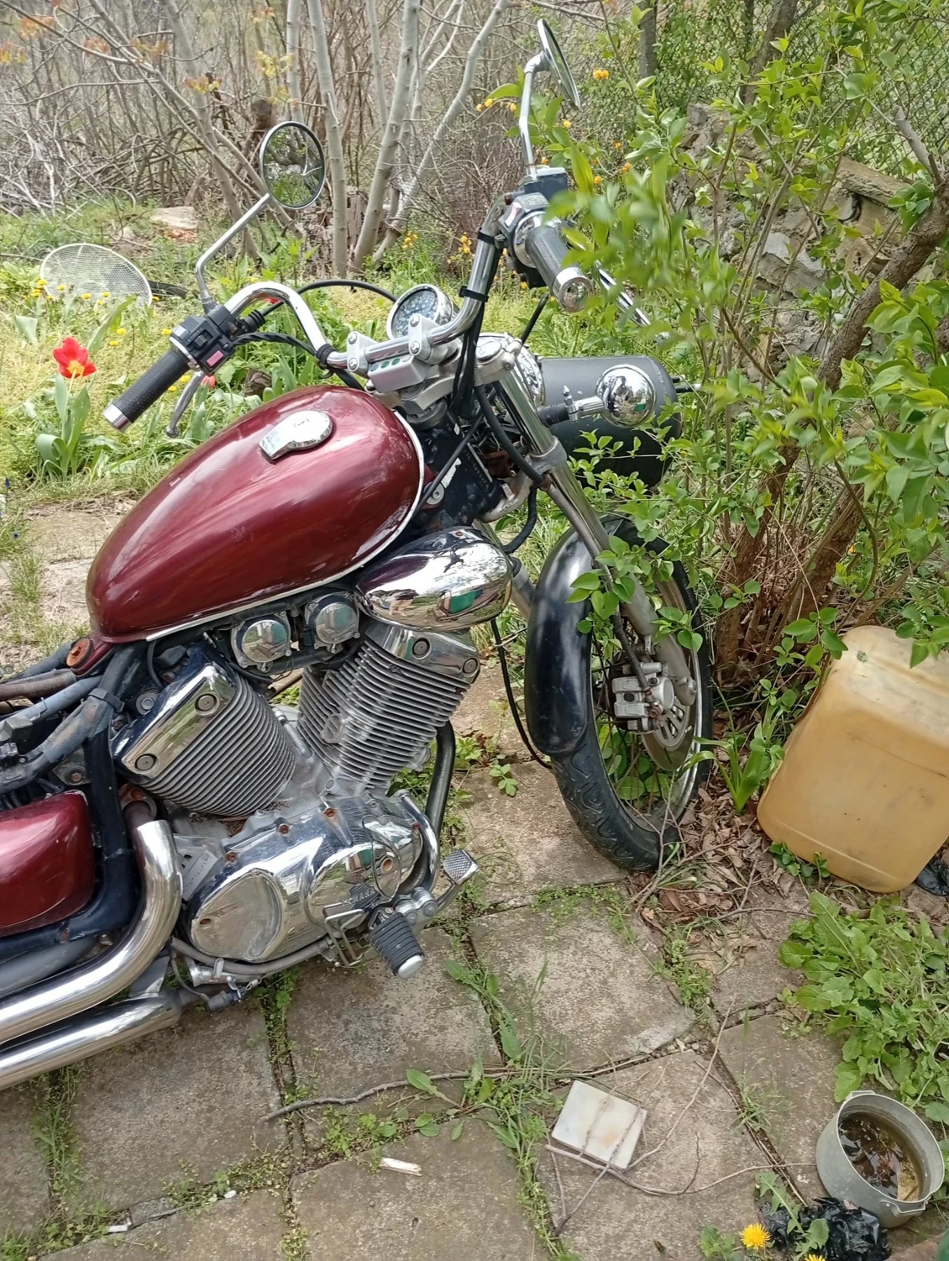 Yamaha Virago  - изображение 3