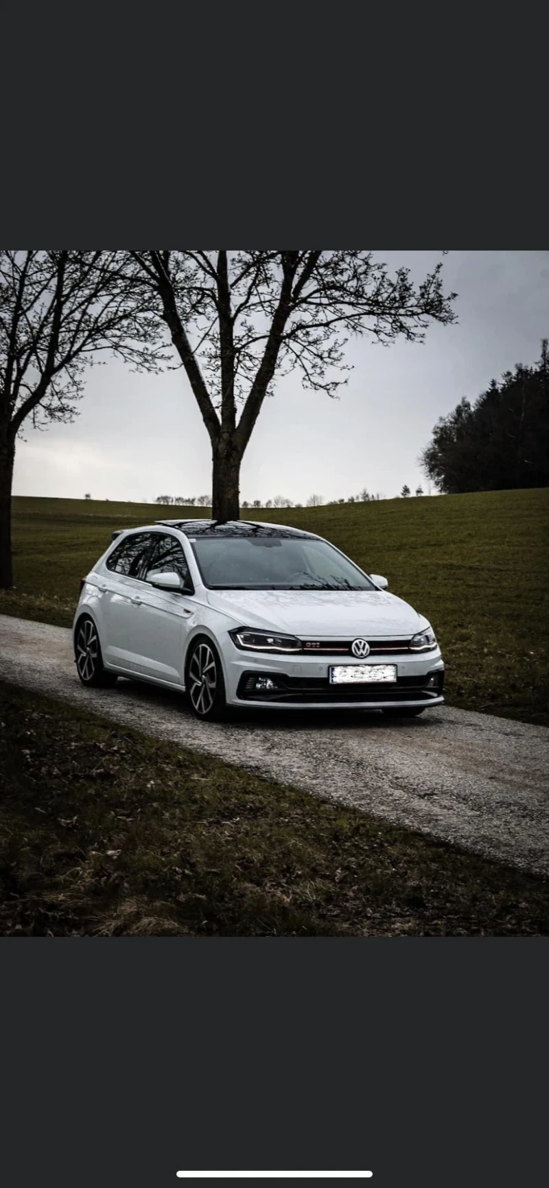 VW Polo GTI 2.0 TSI DSG 300 HP