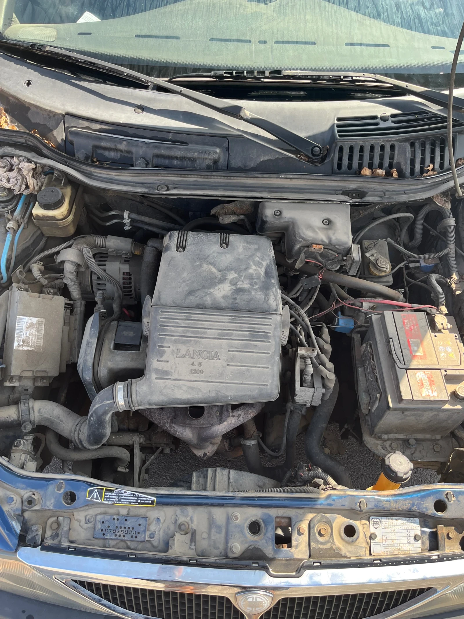 Lancia Y  - изображение 7