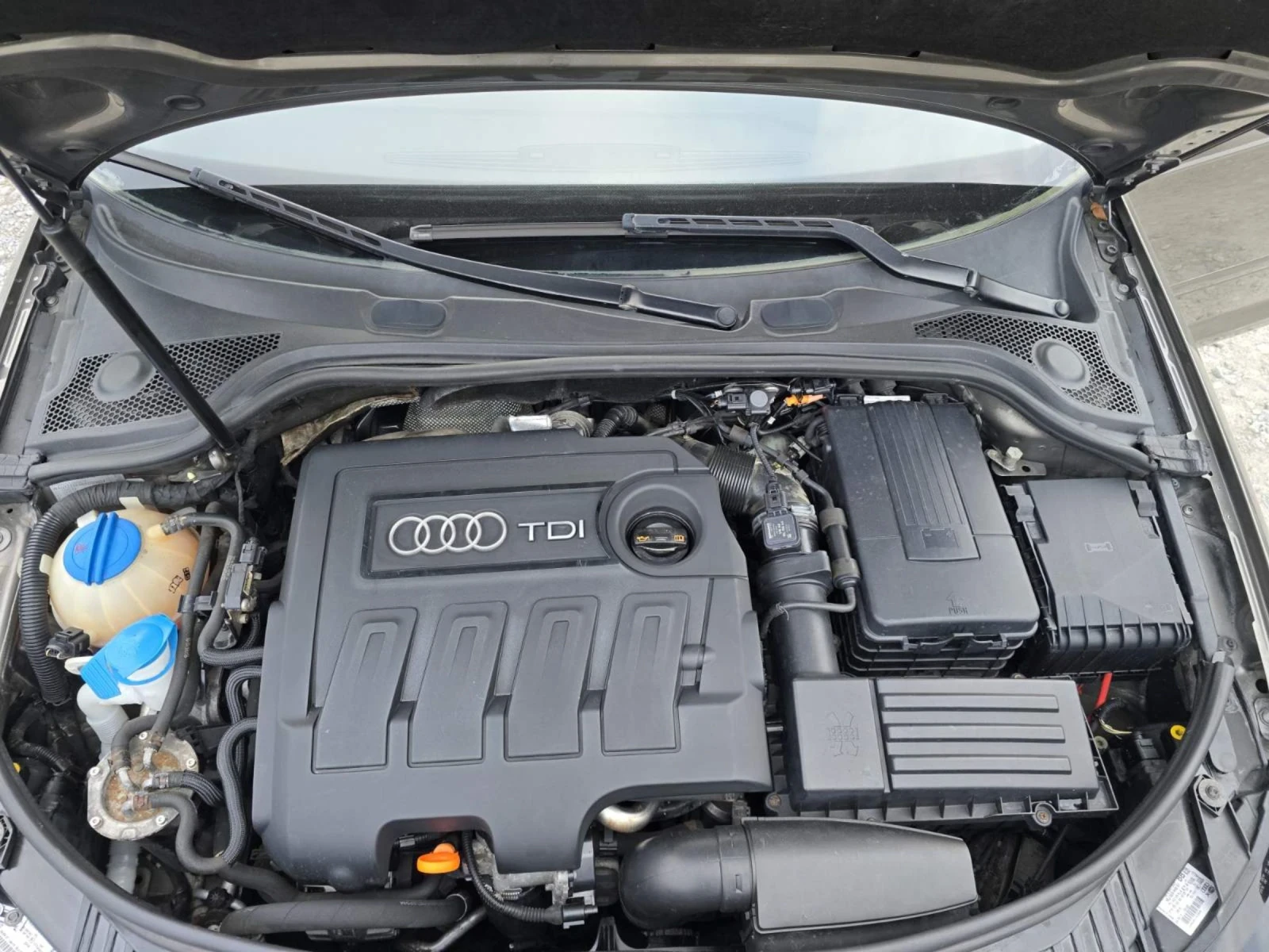 Audi A3 1.6TDI FACE , снимка 13 - Автомобили и джипове - 53653522