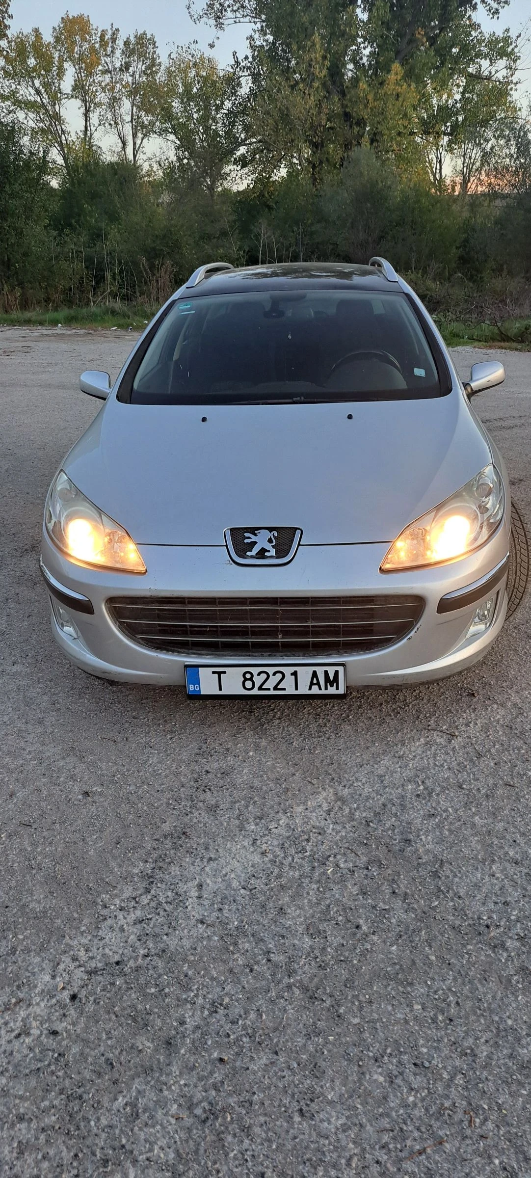 Peugeot 407 2.0 HDI SW - изображение 2