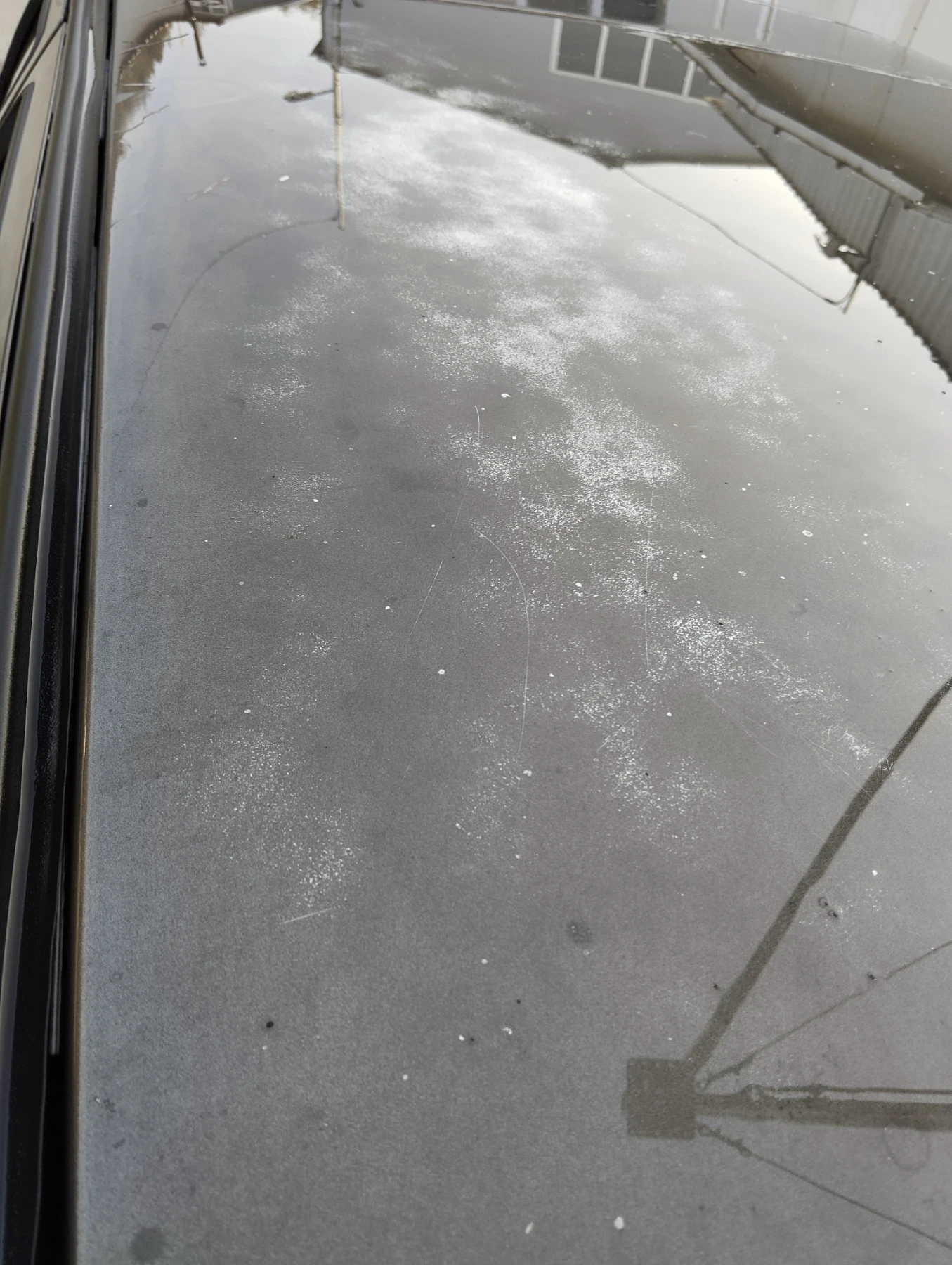 VW Golf, снимка 13 - Автомобили и джипове - 53752704