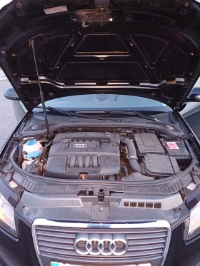 Audi A3 A3 1.6 MPI 102 Faclift - 6890 € / 13475.67 лв. - 52627960 6