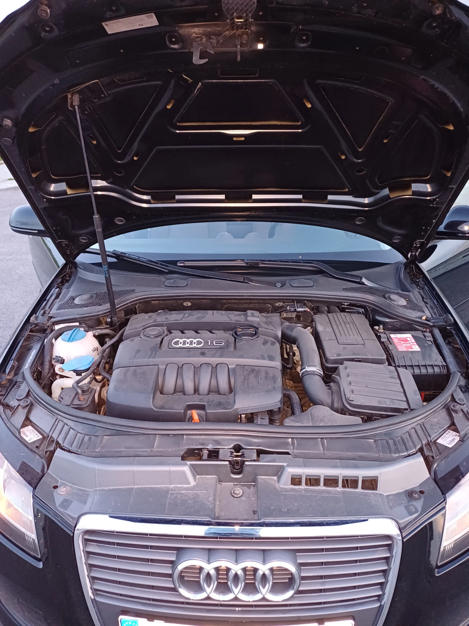 Audi A3 A3 1.6 MPI 102 Faclift, снимка 6 - Автомобили и джипове - 53951580