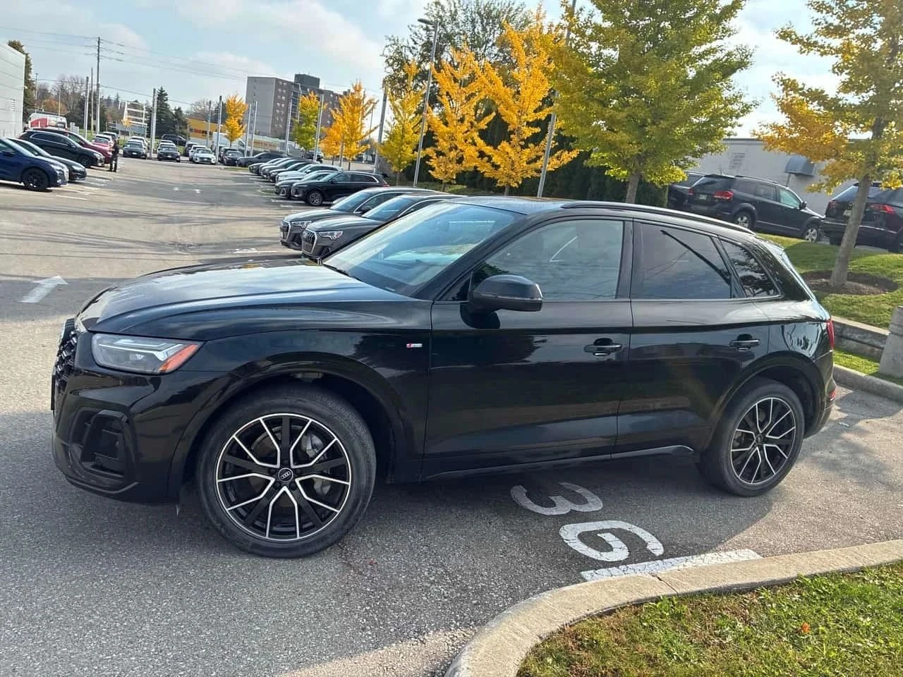 Audi Q5, снимка 4 - Автомобили и джипове - 56689239