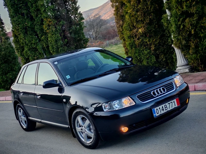 Audi A3 1.9TDI(101)* FACELIFT* НОВ ВНОС* 