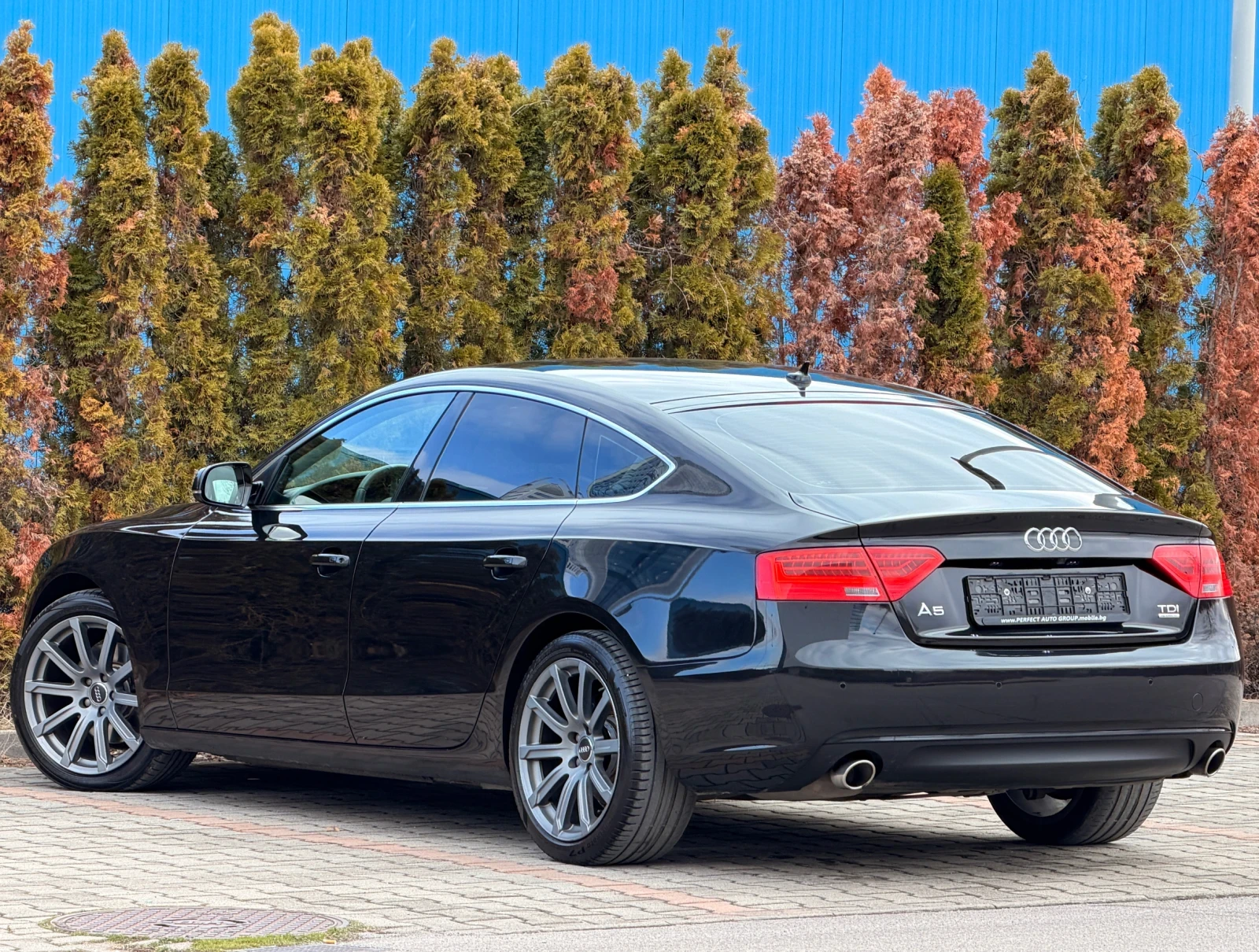 Audi A5 FACE-3.0TDI-SPORTBACK-Business Plus- BANG&OLUFSEN - изображение 2