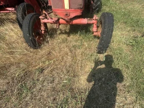       65