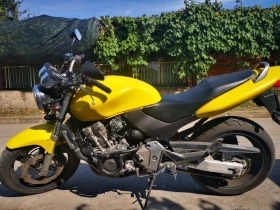  Honda Hornet