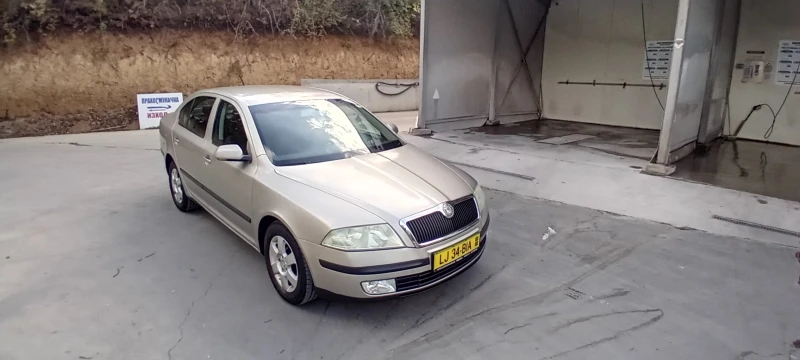 Skoda Octavia 1.9 tdi, снимка 3 - Автомобили и джипове - 47345534