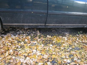 Lancia Dedra 1.6 - | Mobile.bg    9