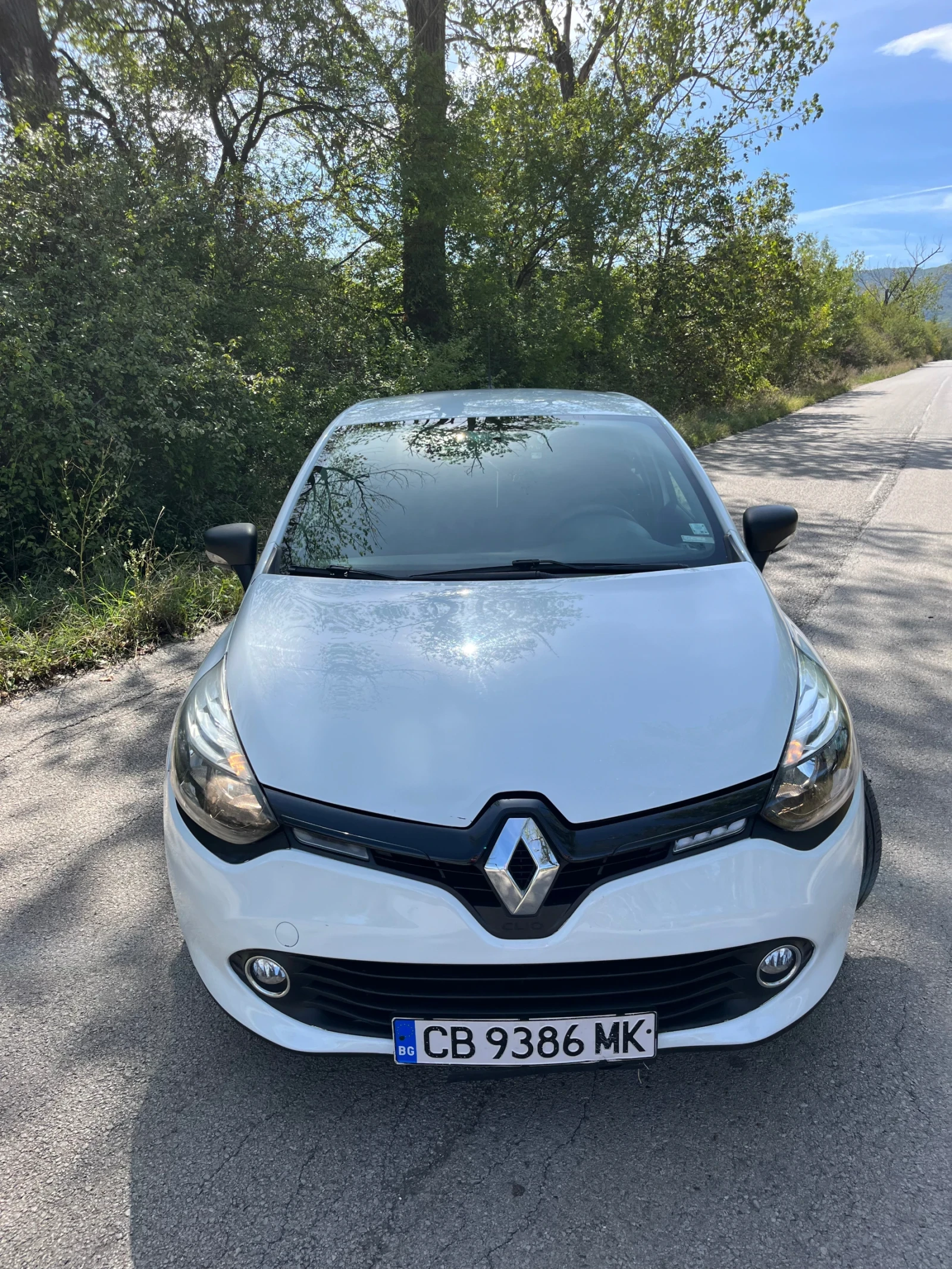 Renault Clio УНИКАТ!!! - изображение 5