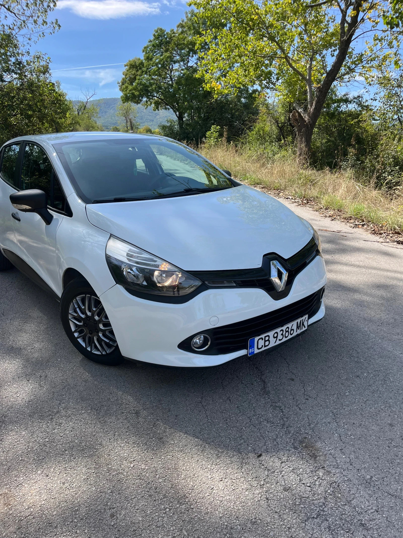 Renault Clio УНИКАТ!!! - изображение 4