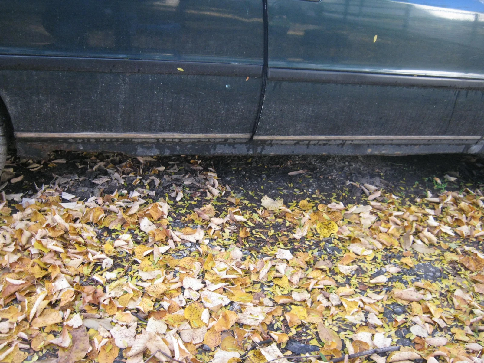 Lancia Dedra 1.6 - | Mobile.bg   9