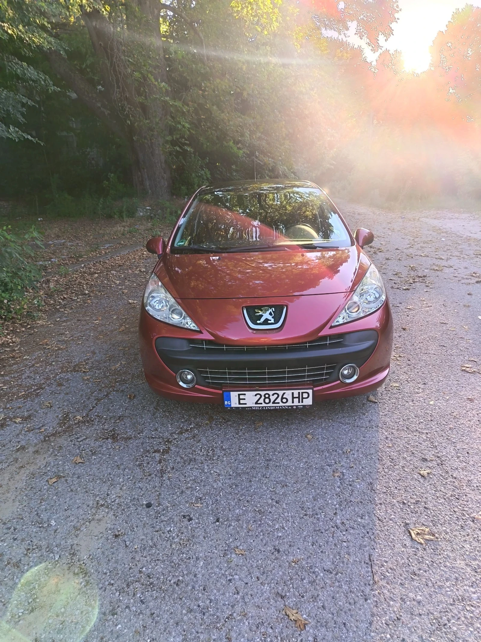 Peugeot 207 1, 6