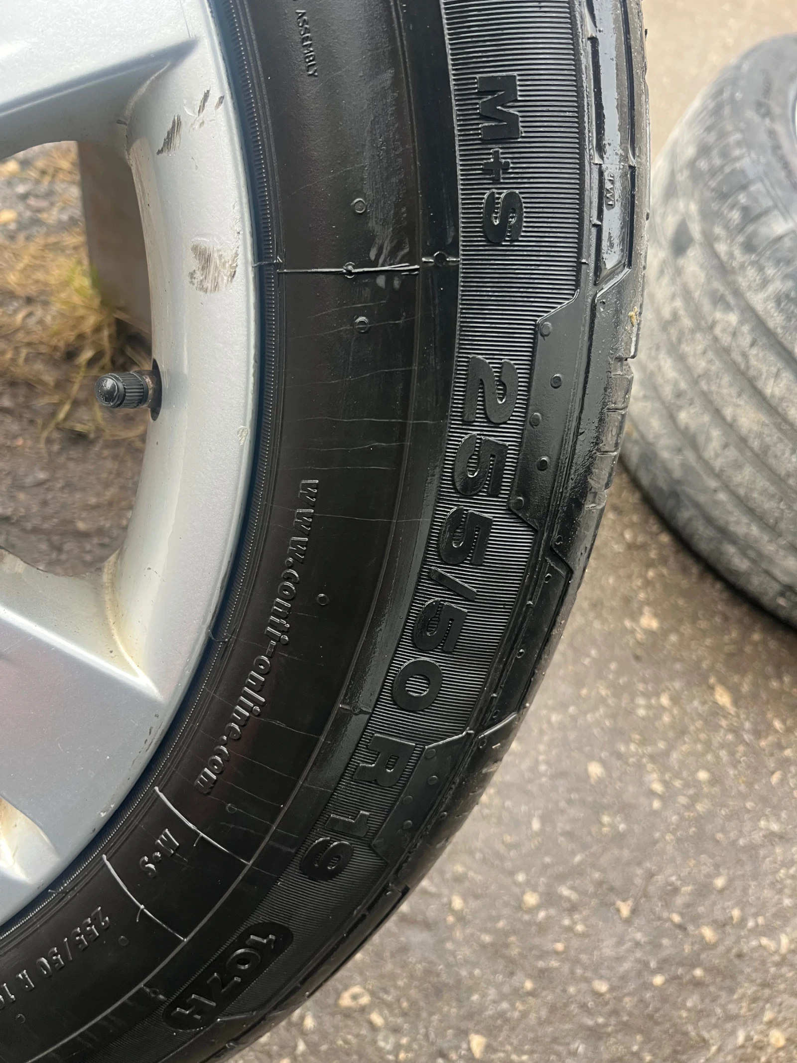 ���� � ������ 255/55R19 �� BMW X6 | Mobile.bg � ����������� 4