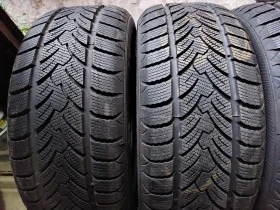 Гуми Зимни 225/50R17, снимка 2 - Гуми и джанти - 38527977