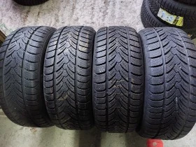 Гуми Зимни 225/50R17, снимка 1 - Гуми и джанти - 38527977