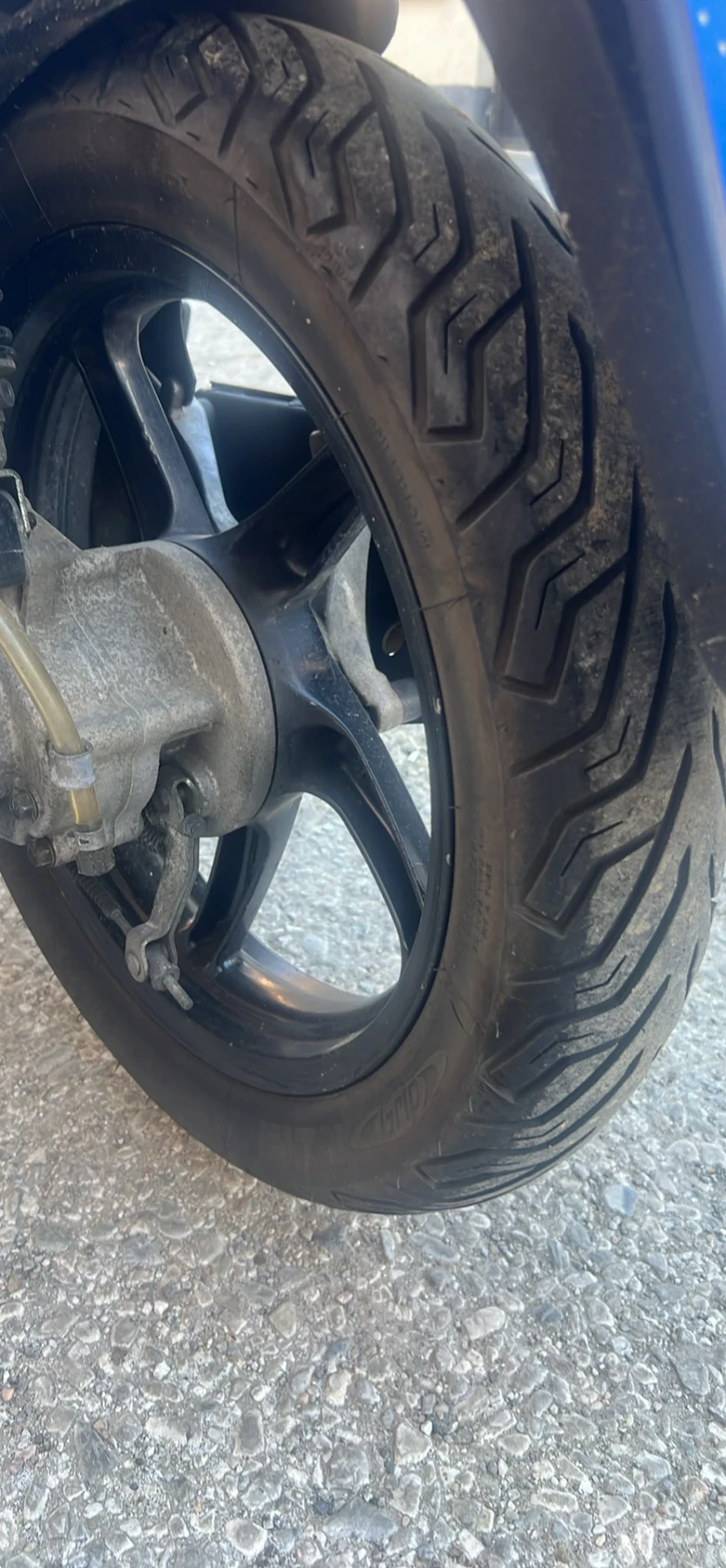 Honda Sh  - изображение 2