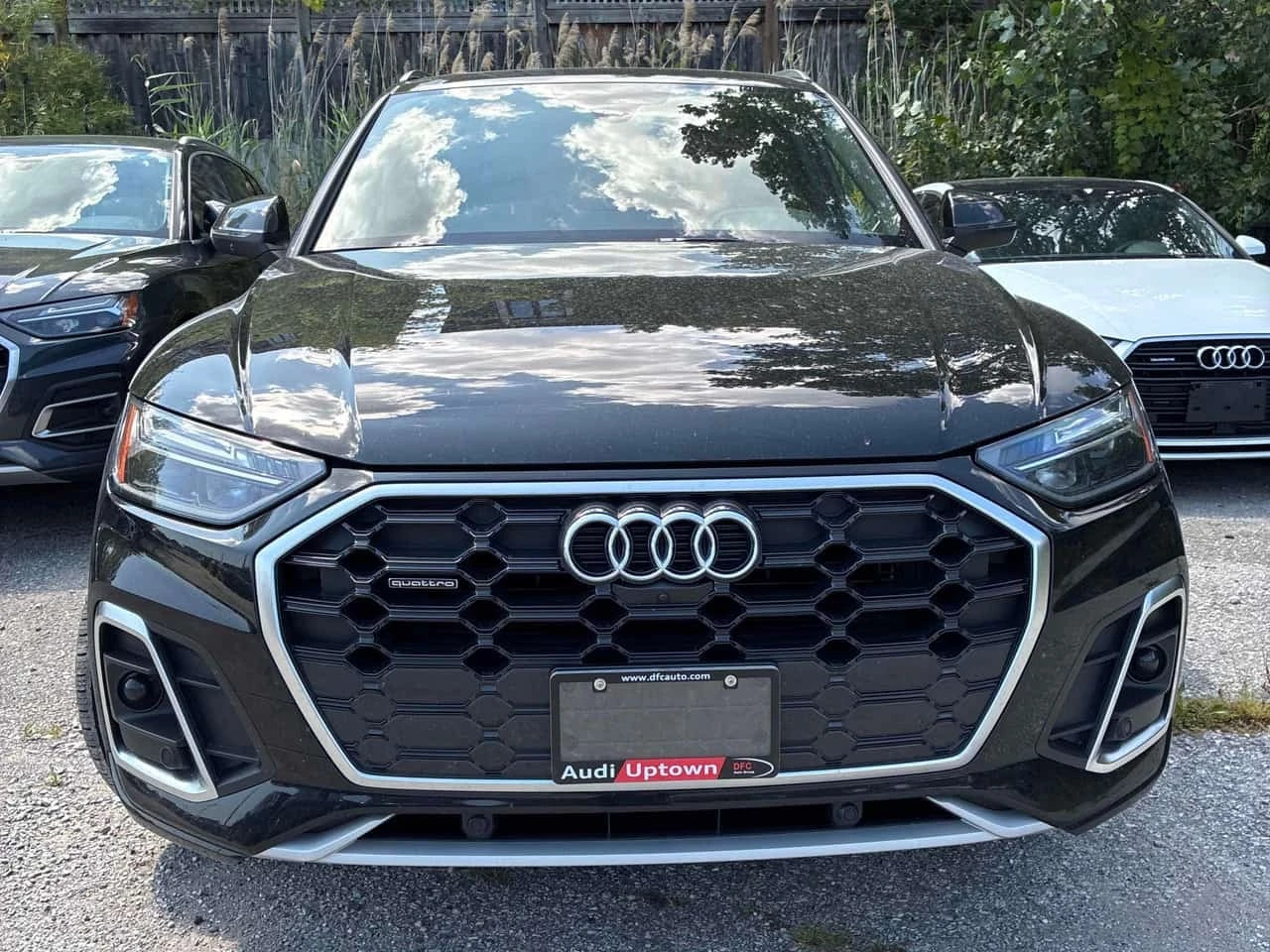 Audi Q5 * PROGRESSIV * CARFAX * ����� �� ����������� | Mobile.bg � ����������� 6