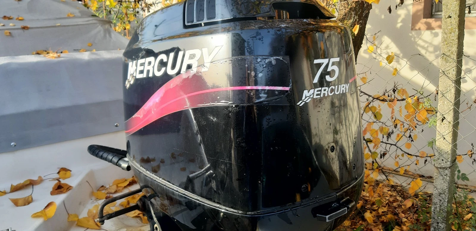   Mercury | Mobile.bg   1