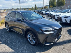 Lexus NX 350h| PANO| ОБДУХ| КЛИП НА МОТОРА|  | Auto.bg — изображение 12
