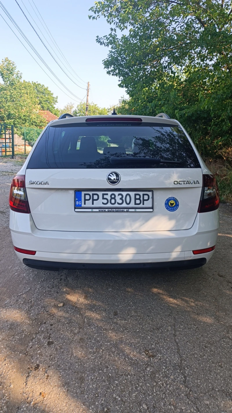 Skoda Octavia 1.6TDI DSG, снимка 3 - Автомобили и джипове - 46335724